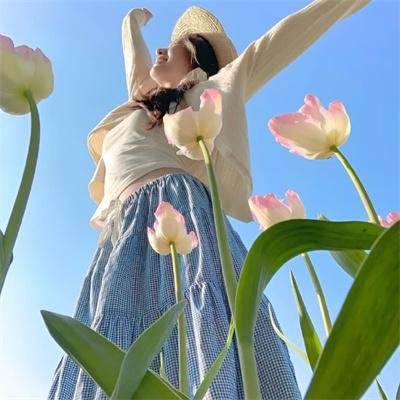 神秘入侵 海报